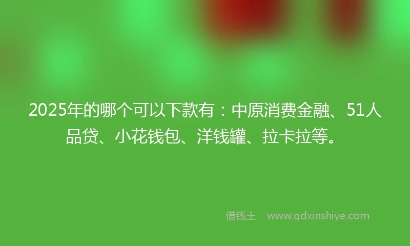 2025年的哪个可以下款有：中原消费金融、51人品贷、小花钱包、洋钱罐、拉卡拉等。