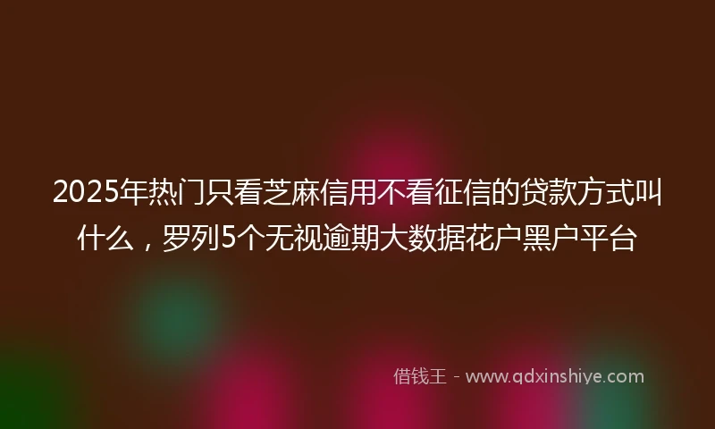 2025年热门只看芝麻信用不看征信的贷款方式叫什么，罗列5个无视逾期大数据花户黑户平台