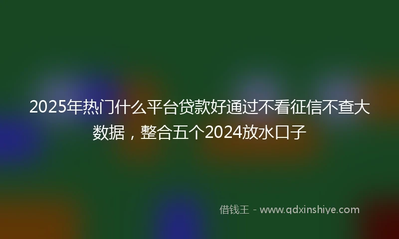 2025年热门什么平台贷款好通过不看征信不查大数据，整合五个2024放水口子