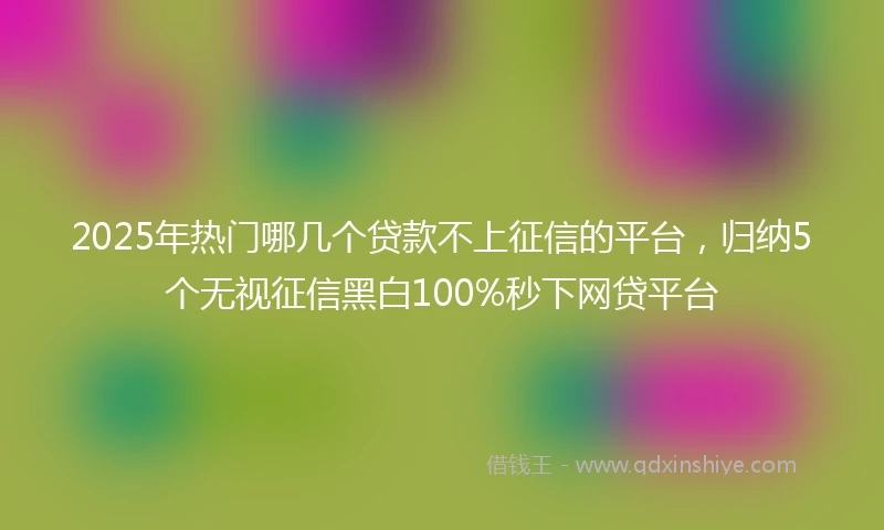2025年热门哪几个贷款不上征信的平台，归纳5个无视征信黑白100%秒下网贷平台