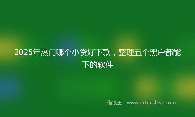 2025年热门哪个小贷好下款，整理五个黑户都能下的软件