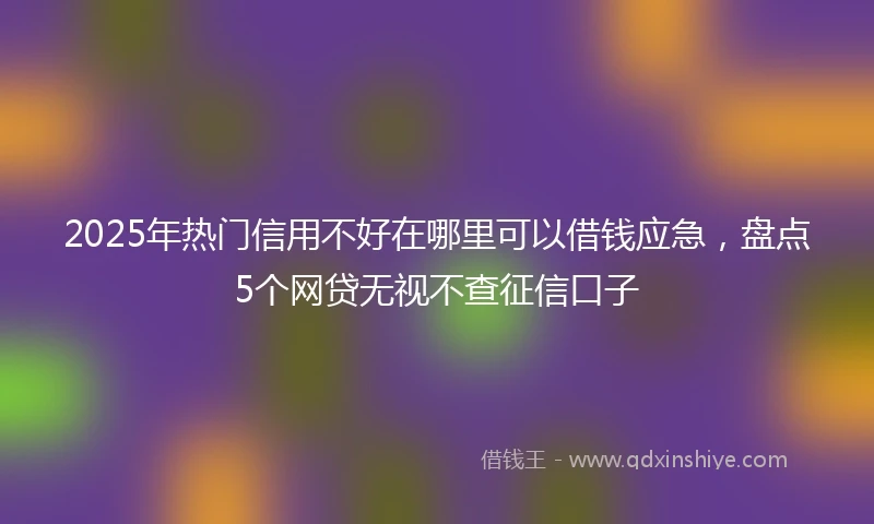 2025年热门信用不好在哪里可以借钱应急，盘点5个网贷无视不查征信口子