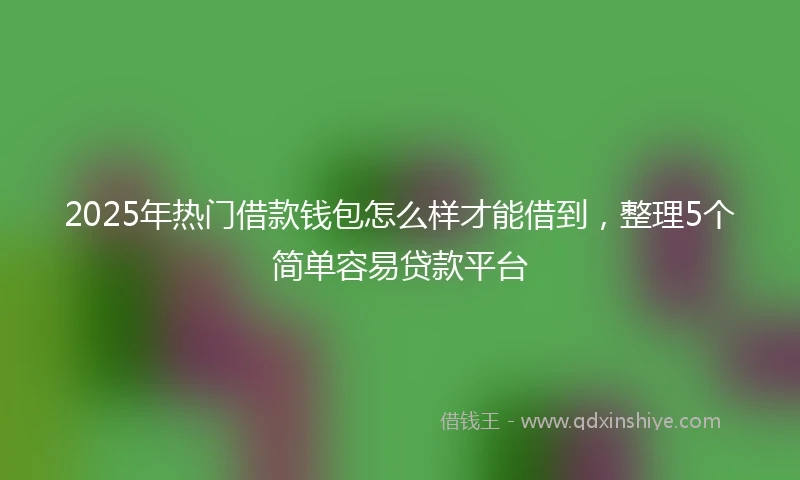 2025年热门借款钱包怎么样才能借到，整理5个简单容易贷款平台