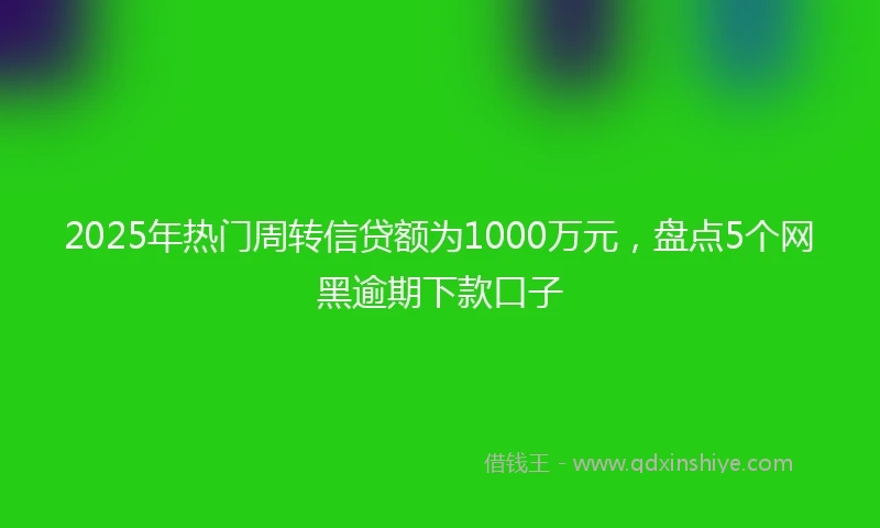 2025年热门周转信贷额为1000万元,盘点5个网黑逾期下款口子