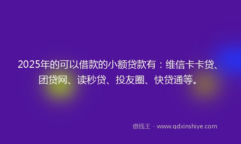 2025年的可以借款的小额贷款有：维信卡卡贷、团贷网、读秒贷、投友圈、快贷通等。