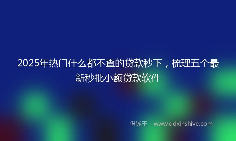 2025年热门什么都不查的贷款秒下，梳理五个最新秒批小额贷款软件