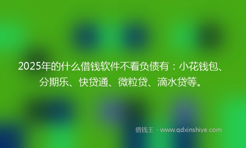 2025年的什么借钱软件不看负债有：小花钱包、分期乐、快贷通、微粒贷、滴水贷等。