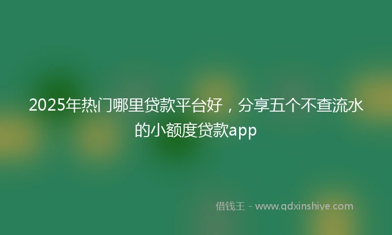2025年热门哪里贷款平台好，分享五个不查流水的小额度贷款app