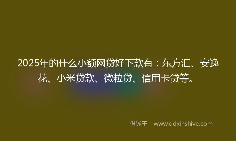 2025年的什么小额网贷好下款有：东方汇、安逸花、小米贷款、微粒贷、信用卡贷等。