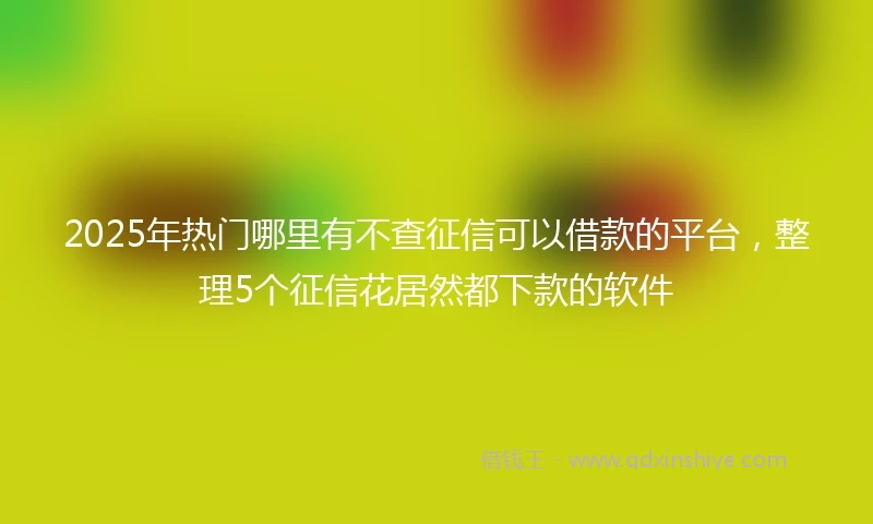 2025年热门哪里有不查征信可以借款的平台，整理5个征信花居然都下款的软件