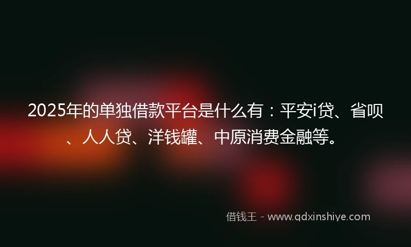 2025年的单独借款平台是什么有：平安i贷、省呗、人人贷、洋钱罐、中原消费金融等。