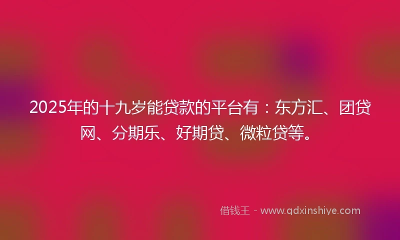 2025年的十九岁能贷款的平台有：东方汇、团贷网、分期乐、好期贷、微粒贷等。