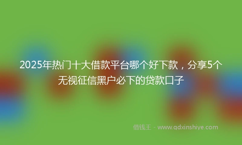 2025年热门十大借款平台哪个好下款，分享5个无视征信黑户必下的贷款口子