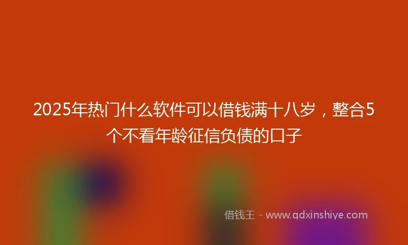 2025年热门什么软件可以借钱满十八岁，整合5个不看年龄征信负债的口子