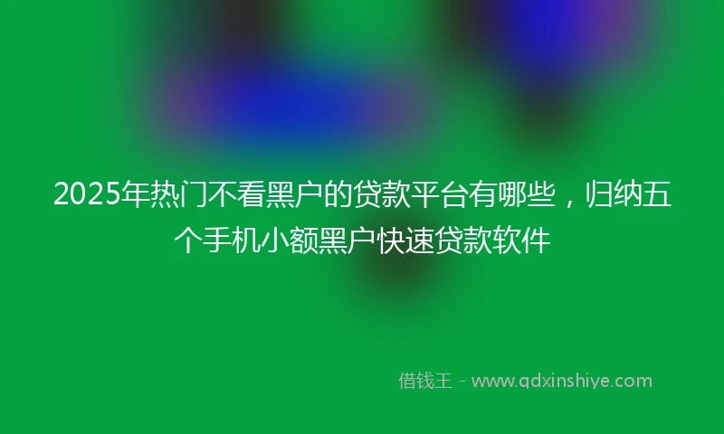 2025年热门不看黑户的贷款平台有哪些，归纳五个手机小额黑户快速贷款软件
