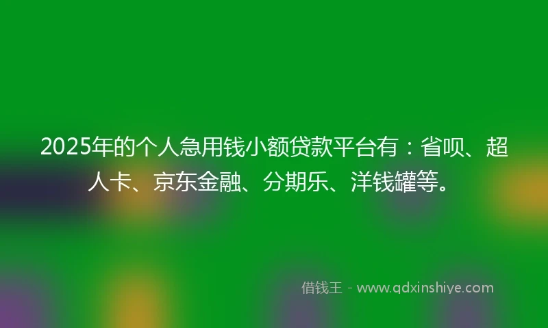 2025年的个人急用钱小额贷款平台有：省呗、超人卡、京东金融、分期乐、洋钱罐等。