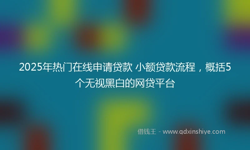 2025年热门在线申请贷款 小额贷款流程，概括5个无视黑白的网贷平台