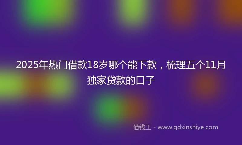 2025年热门借款18岁哪个能下款，梳理五个11月独家贷款的口子