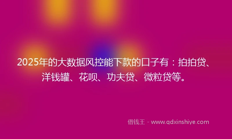2025年的大数据风控能下款的口子有：拍拍贷、洋钱罐、花呗、功夫贷、微粒贷等。