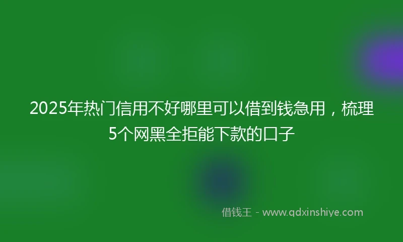 2025年热门信用不好哪里可以借到钱急用，梳理5个网黑全拒能下款的口子