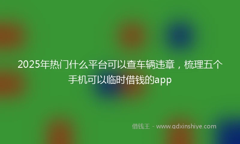 2025年热门什么平台可以查车辆违章，梳理五个手机可以临时借钱的app