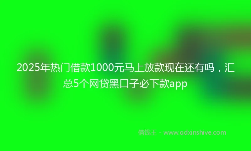 2025年热门借款1000元马上放款现在还有吗，汇总5个网贷黑口子必下款app