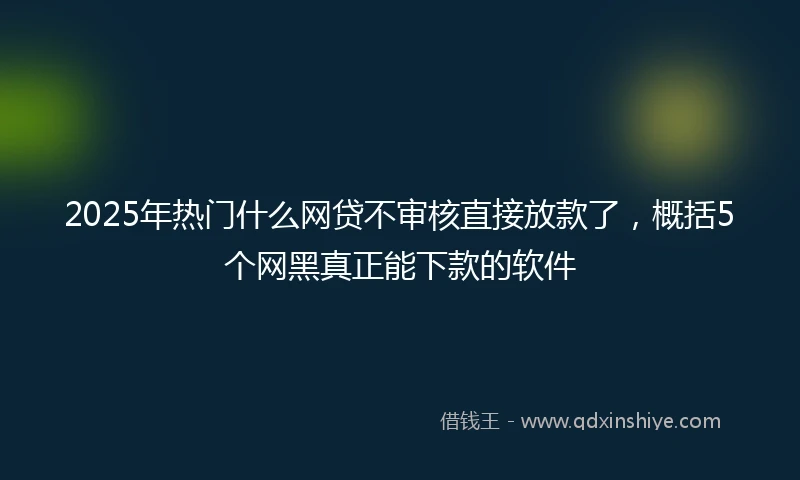2025年热门什么网贷不审核直接放款了，概括5个网黑真正能下款的软件