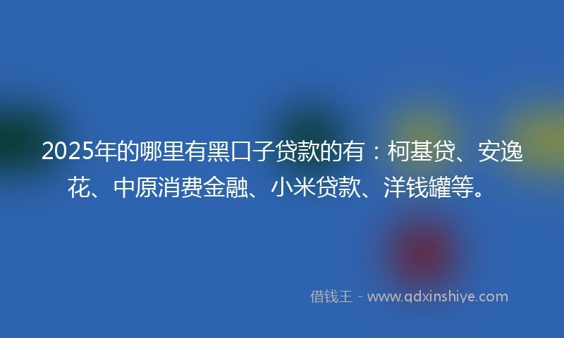 2025年的哪里有黑口子贷款的有：柯基贷、安逸花、中原消费金融、小米贷款、洋钱罐等。