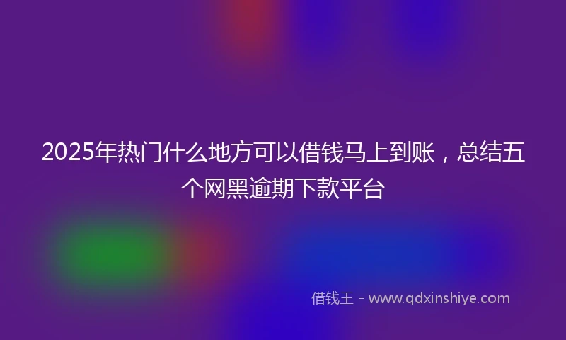 2025年热门什么地方可以借钱马上到账，总结五个网黑逾期下款平台