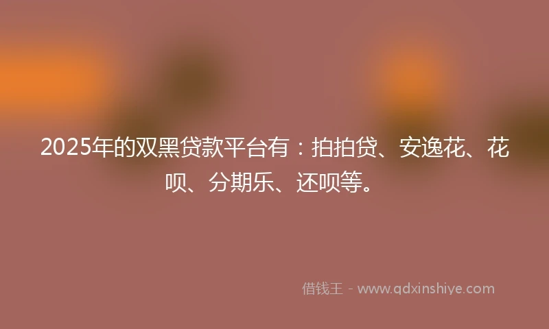 2025年的双黑贷款平台有：拍拍贷、安逸花、花呗、分期乐、还呗等。
