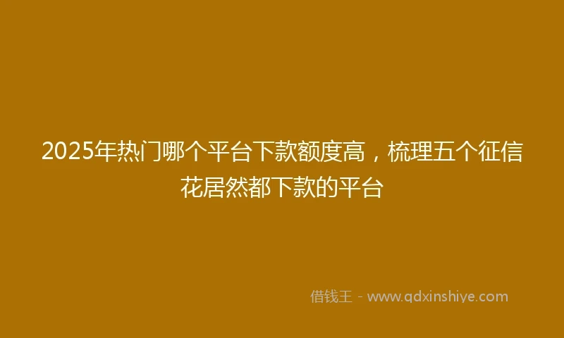 2025年热门哪个平台下款额度高，梳理五个征信花居然都下款的平台