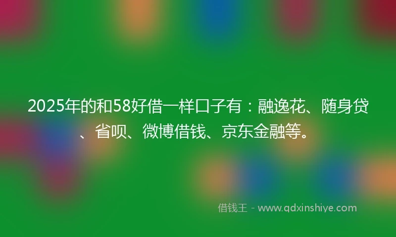 2025年的和58好借一样口子有：融逸花、随身贷、省呗、微博借钱、京东金融等。