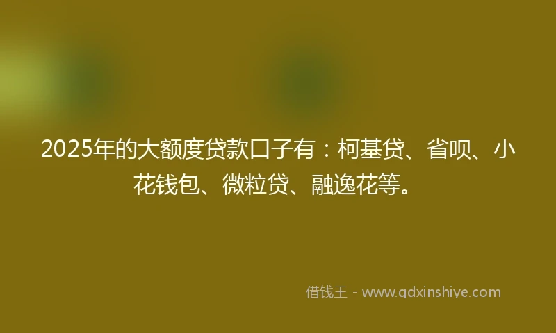 2025年的大额度贷款口子有：柯基贷、省呗、小花钱包、微粒贷、融逸花等。