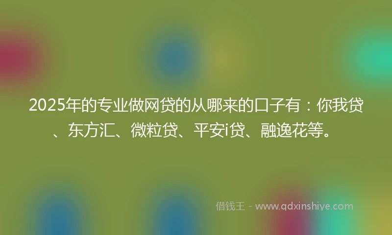 2025年的专业做网贷的从哪来的口子有：你我贷、东方汇、微粒贷、平安i贷、融逸花等。