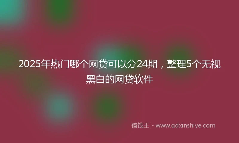 2025年热门哪个网贷可以分24期，整理5个无视黑白的网贷软件
