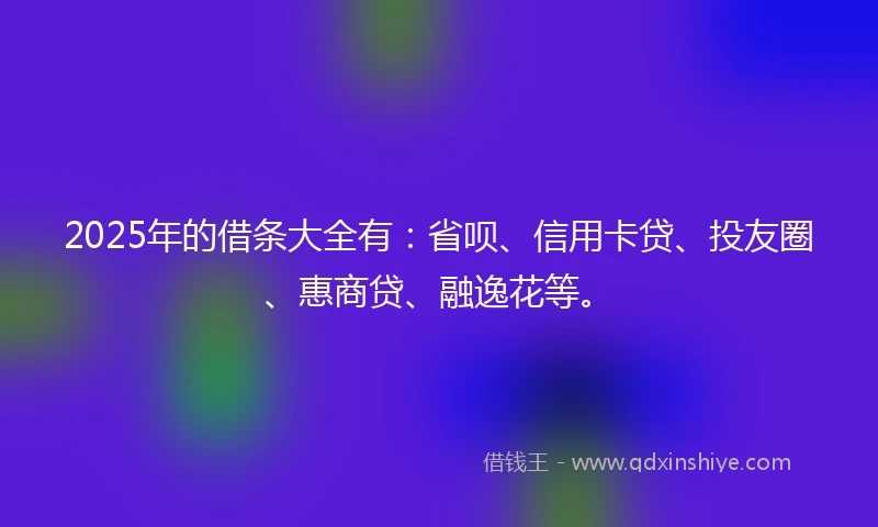 2025年的借条大全有：省呗、信用卡贷、投友圈、惠商贷、融逸花等。