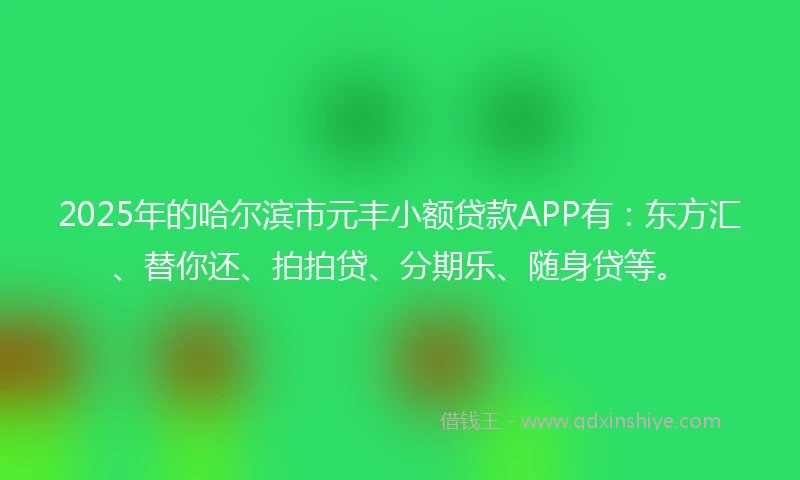 2025年的哈尔滨市元丰小额贷款APP有：东方汇、替你还、拍拍贷、分期乐、随身贷等。