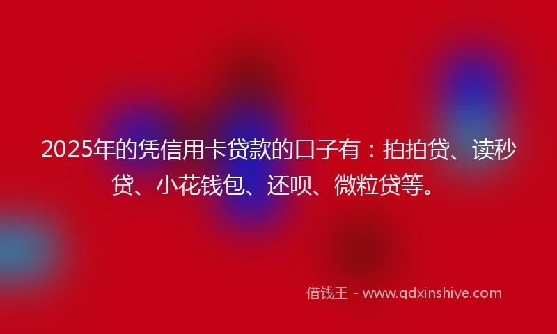 2025年的凭信用卡贷款的口子有：拍拍贷、读秒贷、小花钱包、还呗、微粒贷等。