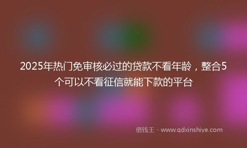 2025年热门免审核必过的贷款不看年龄，整合5个可以不看征信就能下款的平台