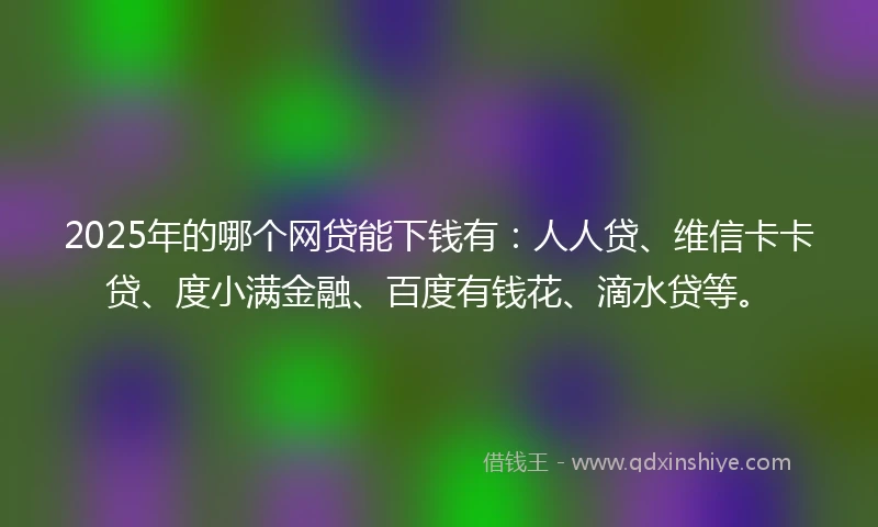 2025年的哪个网贷能下钱有：人人贷、维信卡卡贷、度小满金融、百度有钱花、滴水贷等。