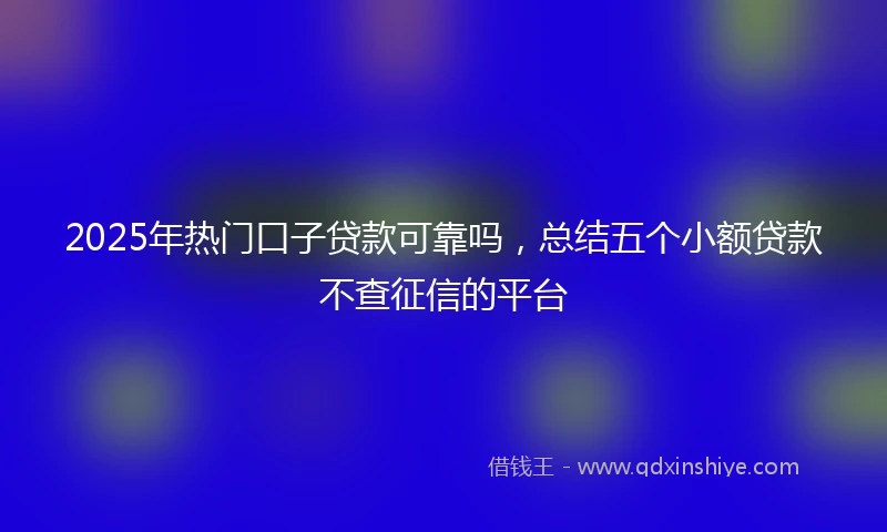 2025年热门口子贷款可靠吗，总结五个小额贷款不查征信的平台