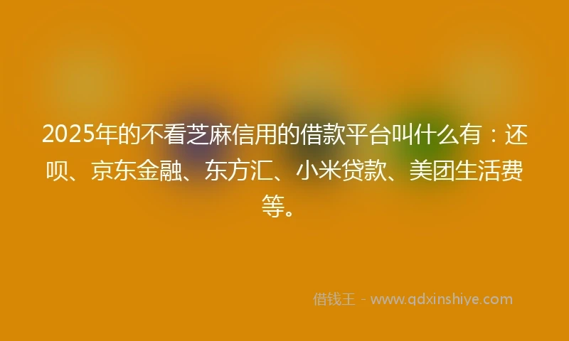 2025年的不看芝麻信用的借款平台叫什么有：还呗、京东金融、东方汇、小米贷款、美团生活费等。