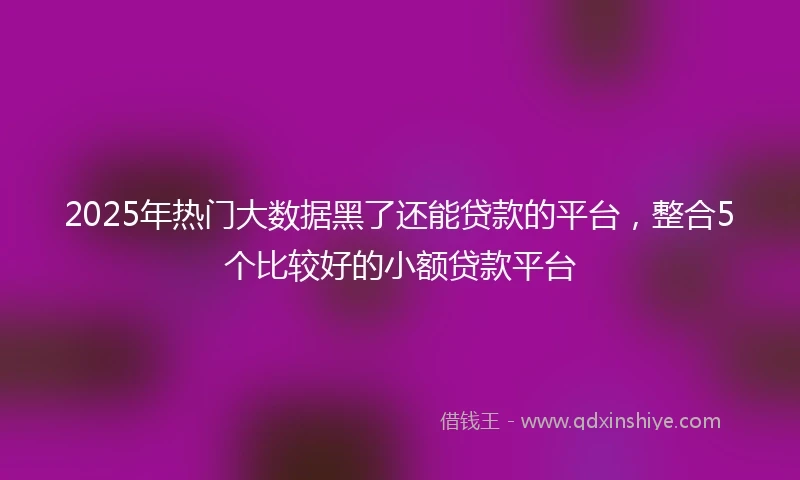 2025年热门大数据黑了还能贷款的平台，整合5个比较好的小额贷款平台
