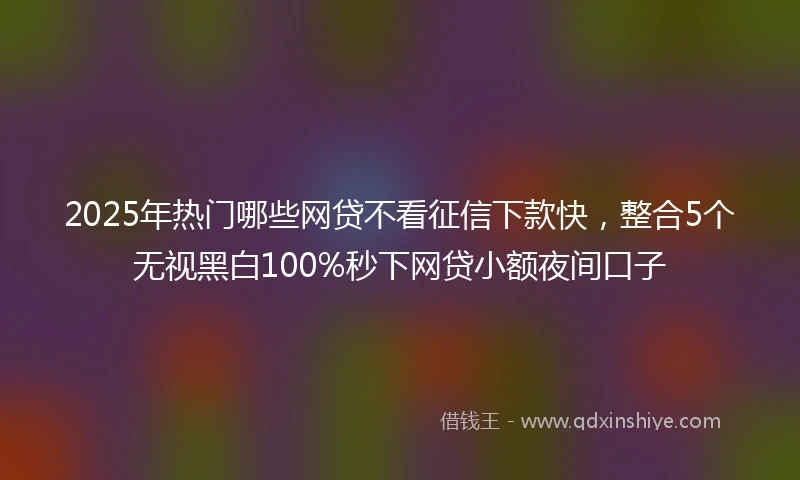2025年热门哪些网贷不看征信下款快,整合5个无视黑白100%秒下网贷小额夜间口子