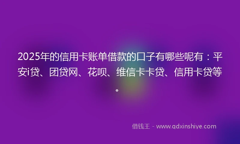 2025年的信用卡账单借款的口子有哪些呢有：平安i贷、团贷网、花呗、维信卡卡贷、信用卡贷等。