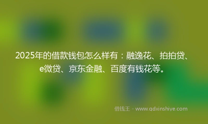 2025年的借款钱包怎么样有：融逸花、拍拍贷、e微贷、京东金融、百度有钱花等。