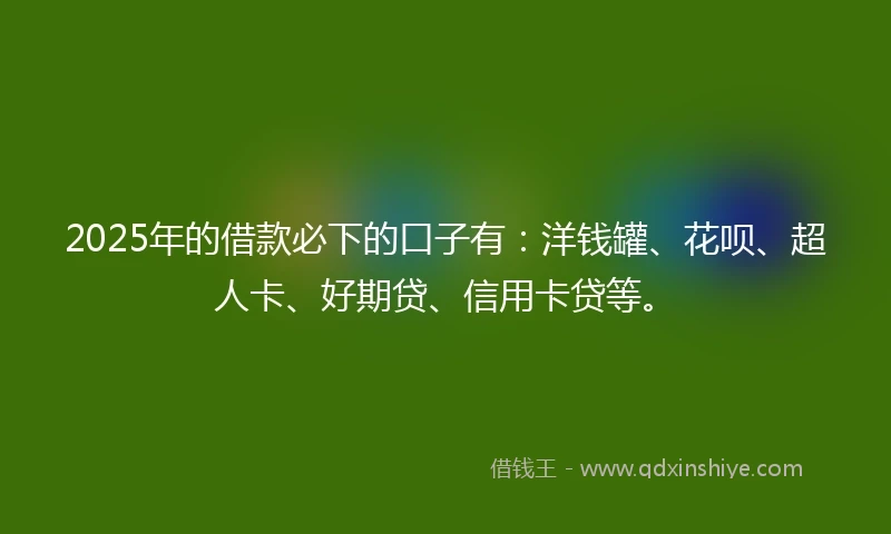 2025年的借款必下的口子有：洋钱罐、花呗、超人卡、好期贷、信用卡贷等。