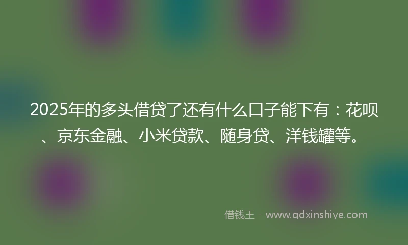 2025年的多头借贷了还有什么口子能下有：花呗、京东金融、小米贷款、随身贷、洋钱罐等。
