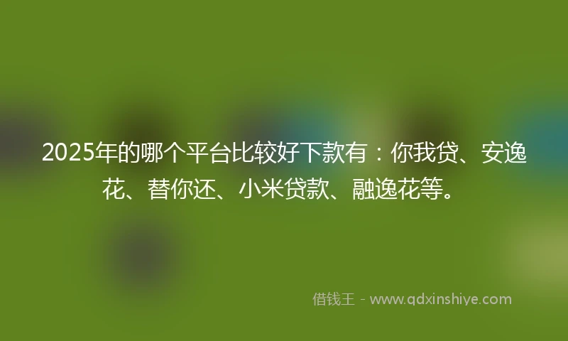 2025年的哪个平台比较好下款有：你我贷、安逸花、替你还、小米贷款、融逸花等。