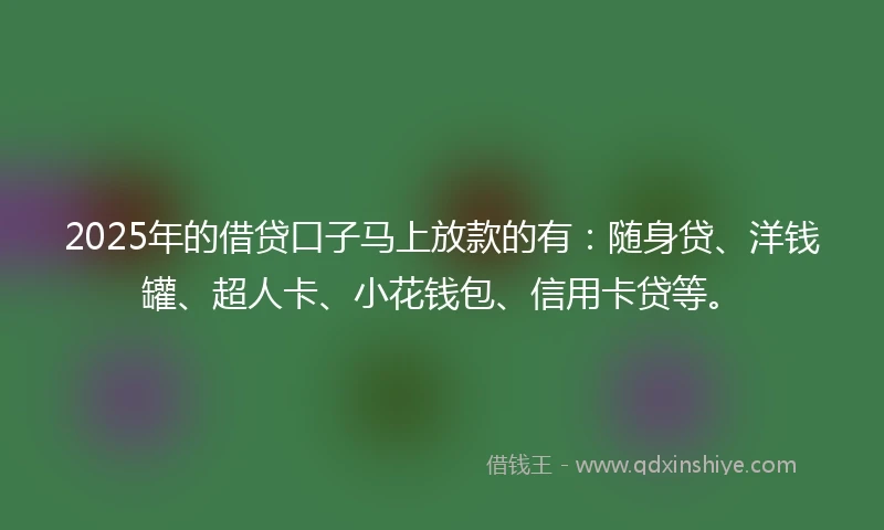 2025年的借贷口子马上放款的有：随身贷、洋钱罐、超人卡、小花钱包、信用卡贷等。